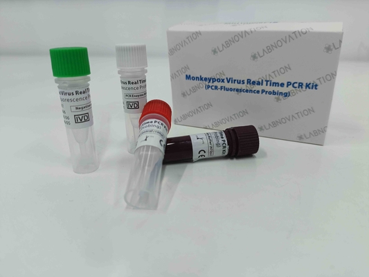 Monkeypox Virus PCR Rapid Test Kit เรียลไทม์สำหรับตัวอย่างเซรั่ม Lesion Exudate ของมนุษย์